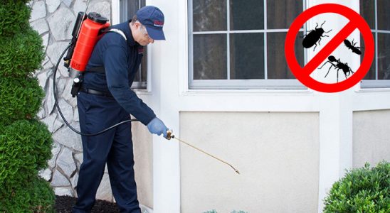 Gelendost Böcek ve Haşere İlaçlama böcek ilaçlama ve haşere kontrolü — ilaclama-tr.com